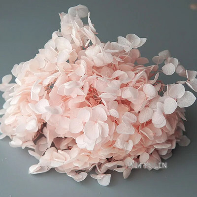 Annas hortenzijas sauso ziedu konservētu ziedu DIY auskari un aromātiskās sveces materiāls gutaperčas sveķu mājas dekorēšanai