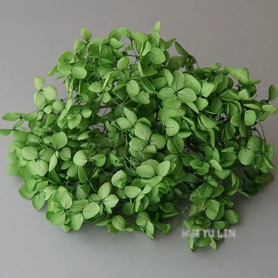 Annas hortenzijas sauso ziedu konservētu ziedu DIY auskari un aromātiskās sveces materiāls gutaperčas sveķu mājas dekorēšanai