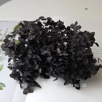 Annas hortenzijas sauso ziedu konservētu ziedu DIY auskari un aromātiskās sveces materiāls gutaperčas sveķu mājas dekorēšanai