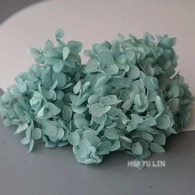 Annas hortenzijas sauso ziedu konservētu ziedu DIY auskari un aromātiskās sveces materiāls gutaperčas sveķu mājas dekorēšanai