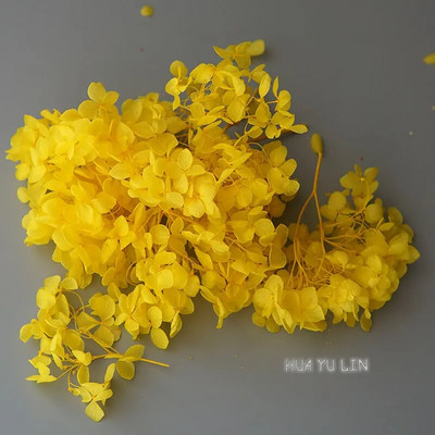 Annas hortenzijas sauso ziedu konservētu ziedu DIY auskari un aromātiskās sveces materiāls gutaperčas sveķu mājas dekorēšanai