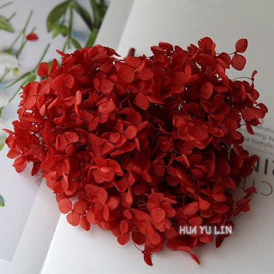 Annas hortenzijas sauso ziedu konservētu ziedu DIY auskari un aromātiskās sveces materiāls gutaperčas sveķu mājas dekorēšanai