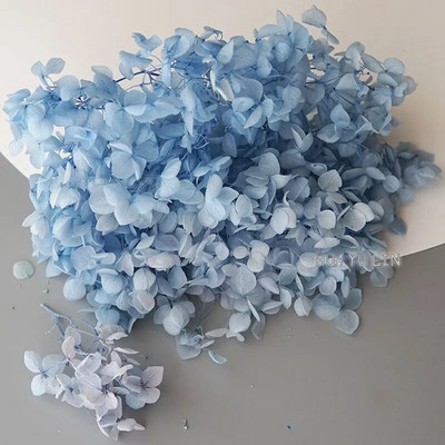 Annas hortenzijas sauso ziedu konservētu ziedu DIY auskari un aromātiskās sveces materiāls gutaperčas sveķu mājas dekorēšanai