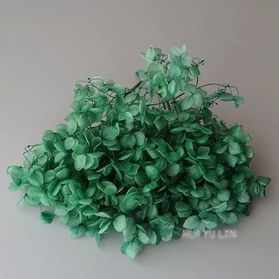 Annas hortenzijas sauso ziedu konservētu ziedu DIY auskari un aromātiskās sveces materiāls gutaperčas sveķu mājas dekorēšanai