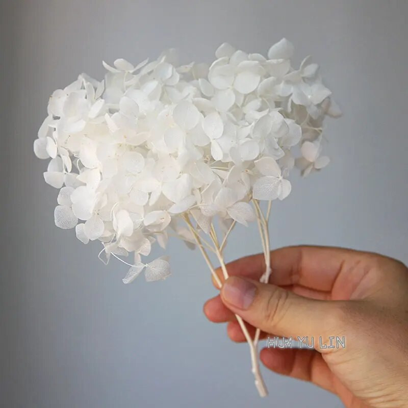 Annas hortenzijas sauso ziedu konservētu ziedu DIY auskari un aromātiskās sveces materiāls gutaperčas sveķu mājas dekorēšanai