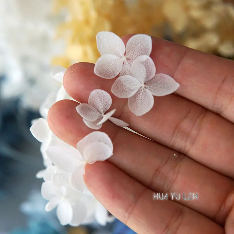 Annas hortenzijas sauso ziedu konservētu ziedu DIY auskari un aromātiskās sveces materiāls gutaperčas sveķu mājas dekorēšanai