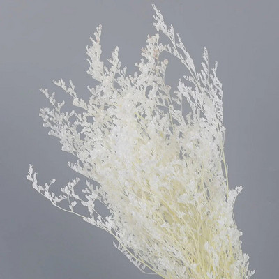 Dabīgs īsts kaltēts zieds Mīlestības zāle Dekoratīvs ziedu pušķu izkārtojuma materiāls Valentīna kāzu konservētu ziedu dekors