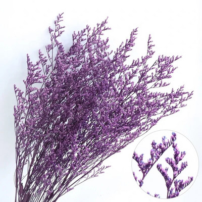 Dabīgs īsts kaltēts zieds Mīlestības zāle Dekoratīvs ziedu pušķu izkārtojuma materiāls Valentīna kāzu konservētu ziedu dekors