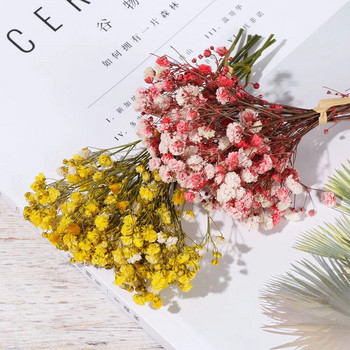 Mini Babysbreath Flower Bouquet Букет от естествени изсушени цветя Реквизит за снимки Творчески фон за снимки Декорация за сватбена декорация на дома
