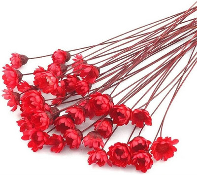 DIY Dodaci za svijeće od smole Minimalan broj osušenih buketa cvijeća Rukotvorine Mali cvjetovi Potrepštine za tuširanje djeteta Ukrasi za Valentinovo