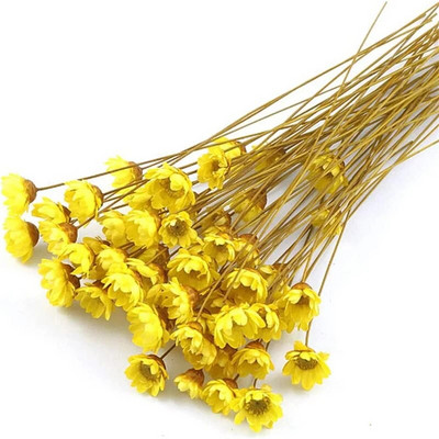 DIY Dodaci za svijeće od smole Minimalan broj osušenih buketa cvijeća Rukotvorine Mali cvjetovi Potrepštine za tuširanje djeteta Ukrasi za Valentinovo