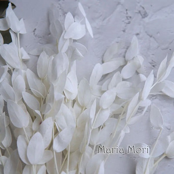 10g запазени малки листа от евкалипт, сватбена украса, ароматизирани свещи, епоксидни ръчно изработени Направи си сам материал