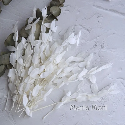 10g tartósított kis levelű eukaliptusz esküvői dekoráció illatos gyertyák epoxi kézzel készített barkács anyag