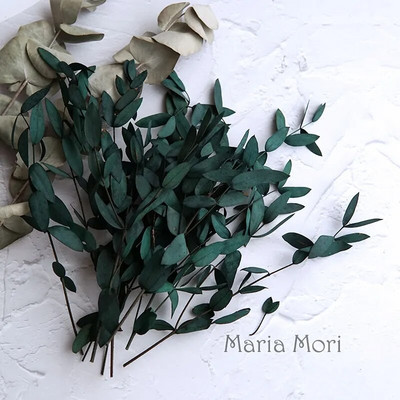 10g tartósított kis levelű eukaliptusz esküvői dekoráció illatos gyertyák epoxi kézzel készített barkács anyag