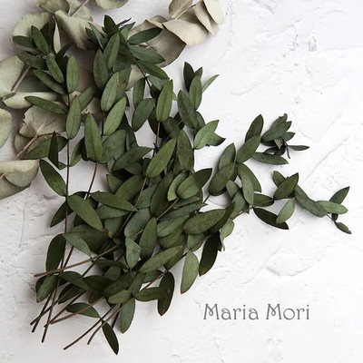 10g tartósított kis levelű eukaliptusz esküvői dekoráció illatos gyertyák epoxi kézzel készített barkács anyag