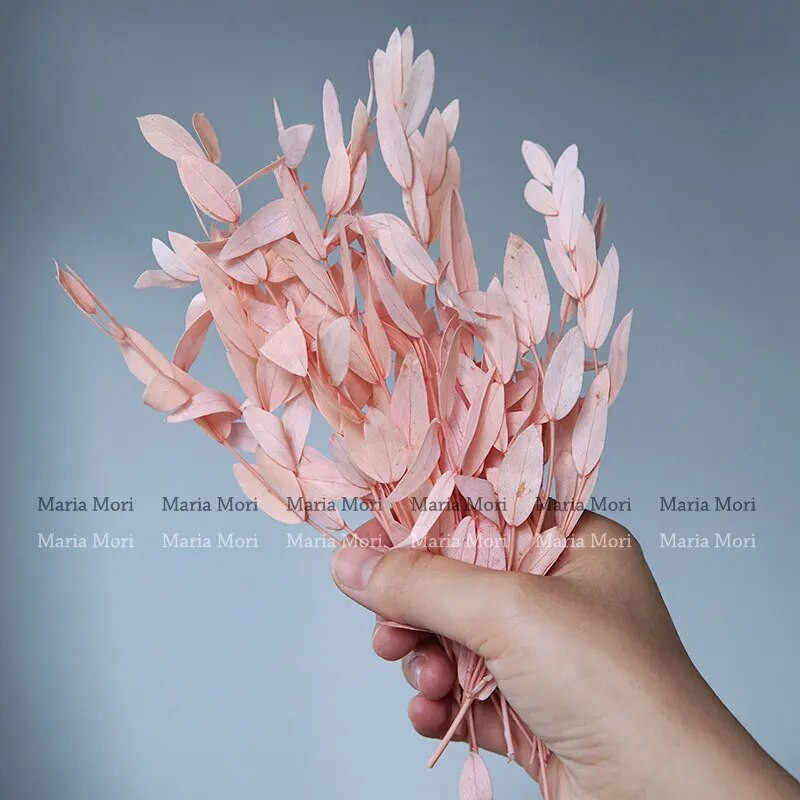 10g tartósított kis levelű eukaliptusz esküvői dekoráció illatos gyertyák epoxi kézzel készített barkács anyag