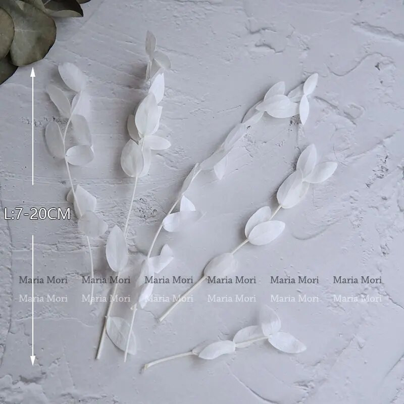 10g tartósított kis levelű eukaliptusz esküvői dekoráció illatos gyertyák epoxi kézzel készített barkács anyag