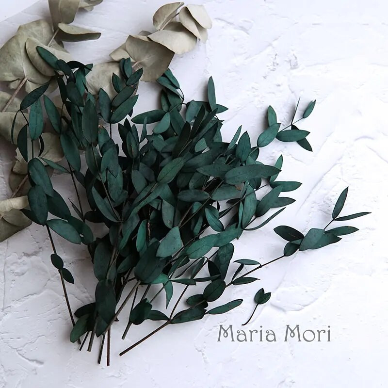 10g tartósított kis levelű eukaliptusz esküvői dekoráció illatos gyertyák epoxi kézzel készített barkács anyag