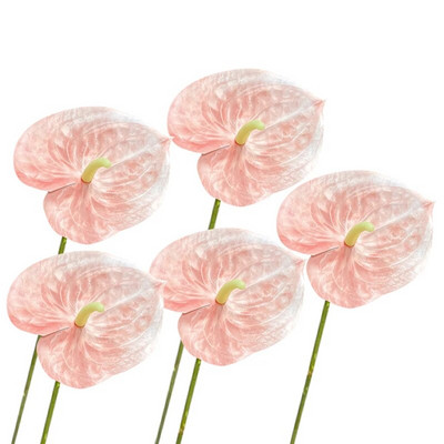 5 gab. Mākslīgais zieds Real Touch Anthurium Lotus Wedding Bride Viltus puķu augs DIY Party Ziemassvētku mājas dekorēšanas aksesuāri