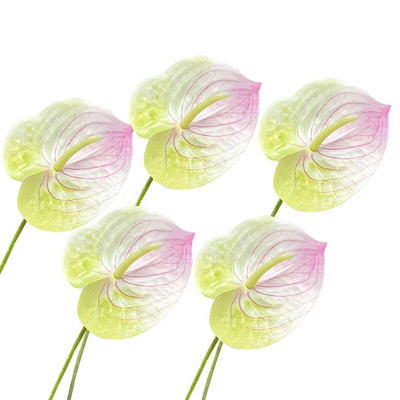 5 gab. Mākslīgais zieds Real Touch Anthurium Lotus Wedding Bride Viltus puķu augs DIY Party Ziemassvētku mājas dekorēšanas aksesuāri