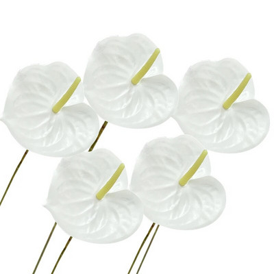 5 gab. Mākslīgais zieds Real Touch Anthurium Lotus Wedding Bride Viltus puķu augs DIY Party Ziemassvētku mājas dekorēšanas aksesuāri