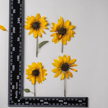 2 ΤΕΜ/5-6 cm κεφαλή λουλουδιών, Ture Pressed Mini Sunflower κλαδί, ανάγλυφο φυτό σταγόνα κόλλα κινητού τηλεφώνου κέλυφος diy υλικό κάρτας σελιδοδείκτη