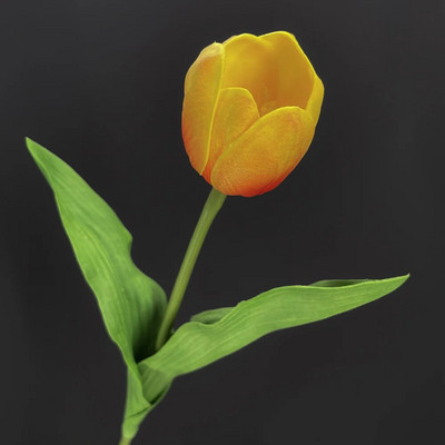 SunMade Europska grana tulipana Pravi dodir Umjetno cvijeće Dekoracija za zabavu Kućni dekor Vjenčanje Flores Zeleni cvijet Jesenski dekor