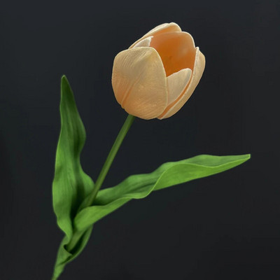 SunMade Europska grana tulipana Pravi dodir Umjetno cvijeće Dekoracija za zabavu Kućni dekor Vjenčanje Flores Zeleni cvijet Jesenski dekor