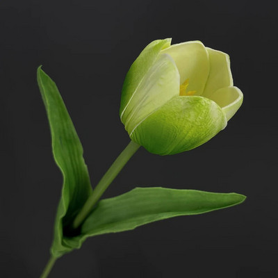 SunMade Europska grana tulipana Pravi dodir Umjetno cvijeće Dekoracija za zabavu Kućni dekor Vjenčanje Flores Zeleni cvijet Jesenski dekor