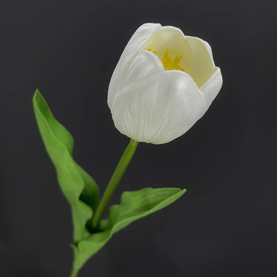 SunMade Europska grana tulipana Pravi dodir Umjetno cvijeće Dekoracija za zabavu Kućni dekor Vjenčanje Flores Zeleni cvijet Jesenski dekor
