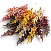 10/20 db mesterséges növények hab búza fül Hamis növény lakberendezéshez Esküvői házasság dekorációs kellékek barkács koszorú kiegészítők