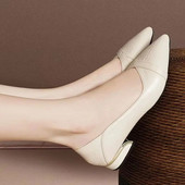 Ženske cipele na nisku petu veće veličine. Lada cipele sa šiljatim vrhom. Cipele s četvrtastim petama. Crne osnovne cipele.