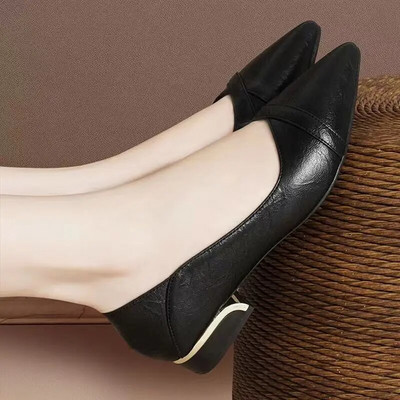 Ženske cipele na nisku petu veće veličine. Lada cipele sa šiljatim vrhom. Cipele s četvrtastim petama. Crne osnovne cipele.