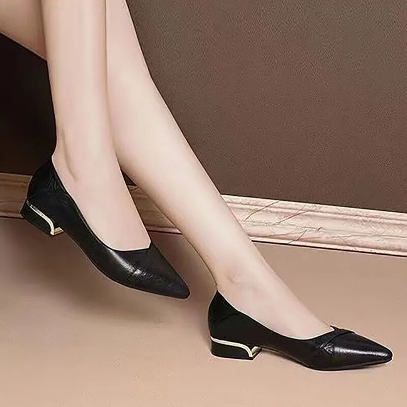 Ženske cipele na nisku petu veće veličine. Lada cipele sa šiljatim vrhom. Cipele s četvrtastim petama. Crne osnovne cipele.