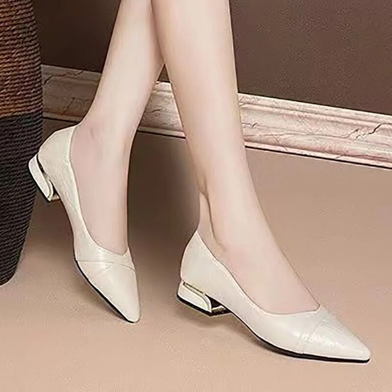 Ženske cipele na nisku petu veće veličine. Lada cipele sa šiljatim vrhom. Cipele s četvrtastim petama. Crne osnovne cipele.