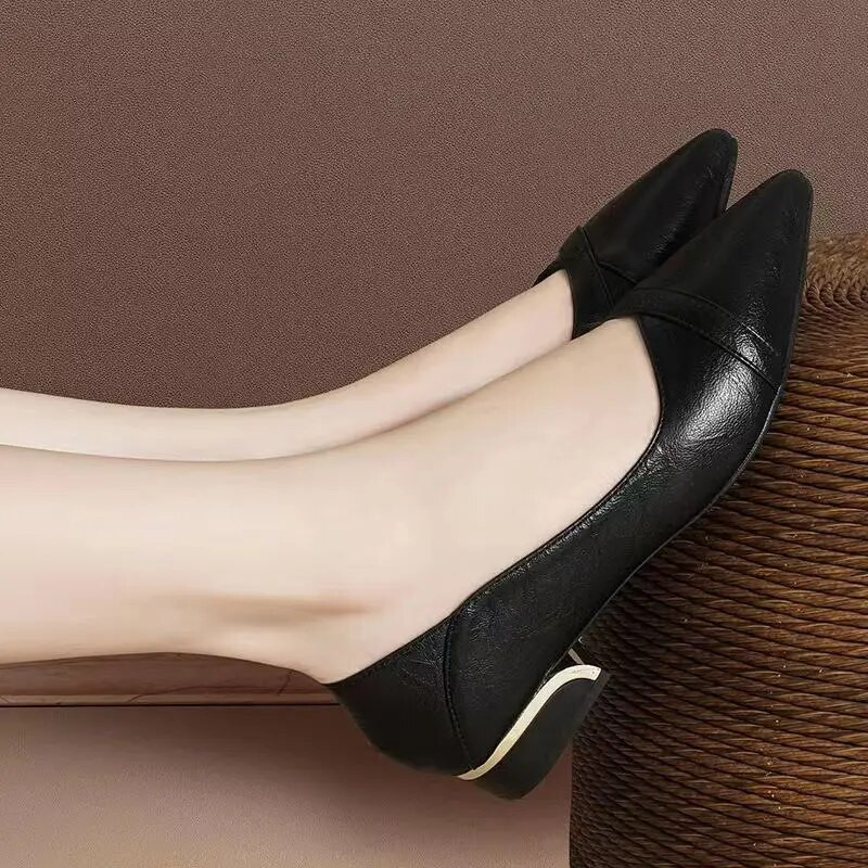 Ženske cipele na nisku petu veće veličine. Lada cipele sa šiljatim vrhom. Cipele s četvrtastim petama. Crne osnovne cipele.