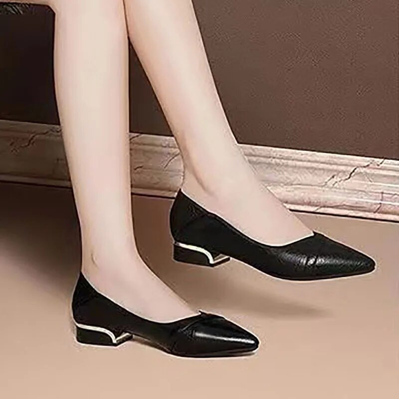 Ženske cipele na nisku petu veće veličine. Lada cipele sa šiljatim vrhom. Cipele s četvrtastim petama. Crne osnovne cipele.