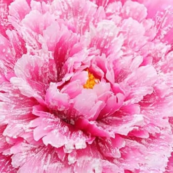 παιώνια Τεχνητά λουλούδια Χορευτικά στηρίγματα Το λουλούδι προσομοίωσης Χορευτικά στηρίγματα χειρός - λουλούδι παιδικά στηρίγματα