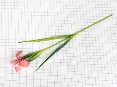 58cm PU Īrijas mākslīgie ziedi True Touch Alises īrisa zieds Mājas dekors Kāzu DIY dekors Viltus zieds