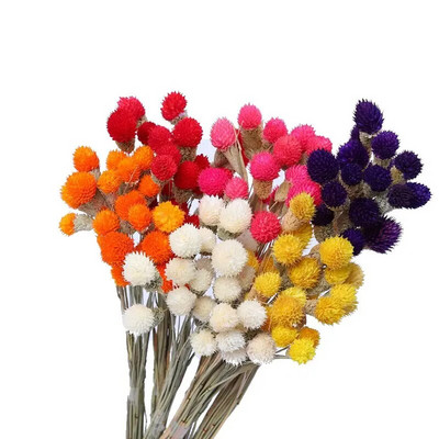 10 τμχ Dry Flower Nature Real Dry Berry Flowers DIY Floral Display Φυτό κουνελιού για γαμήλια ανθοδέσμη Διακόσμηση πάρτι δωματίου στο σπίτι