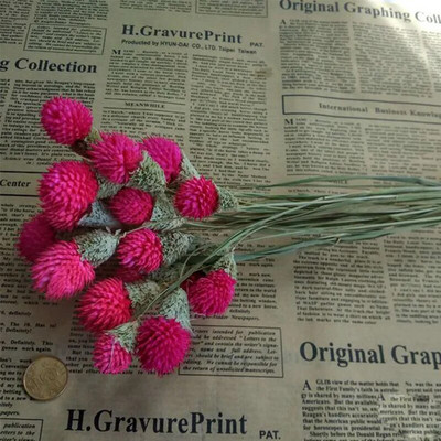 10db Dry Flower Nature Valódi száraz bogyós virágok Barkácsolás virágos nyúlfű növény esküvői csokorhoz Otthoni buli dekoráció