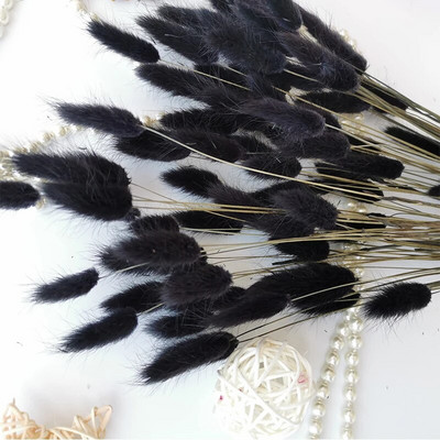 10db Dry Flower Nature Valódi száraz bogyós virágok Barkácsolás virágos nyúlfű növény esküvői csokorhoz Otthoni buli dekoráció