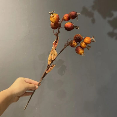 Rudens mākslīgie ziedi, kaltēti augļi, mazi āboli podiņos, dekorēšanas piederumi kāzu mājas Ziedu augi Kārtot rekvizītus