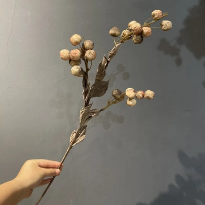 Rudens mākslīgie ziedi, kaltēti augļi, mazi āboli podiņos, dekorēšanas piederumi kāzu mājas Ziedu augi Kārtot rekvizītus