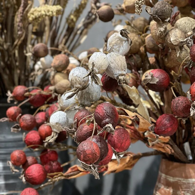 Rudens mākslīgie ziedi, kaltēti augļi, mazi āboli podiņos, dekorēšanas piederumi kāzu mājas Ziedu augi Kārtot rekvizītus