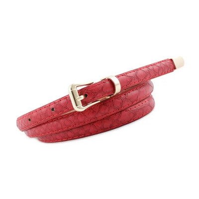 1 kom. Trendy tanki remen oko struka Modni graciozni ženski pojas od umjetne kože u slatkim bojama Podesivi remen Remen za haljine Dodaci za odjeću