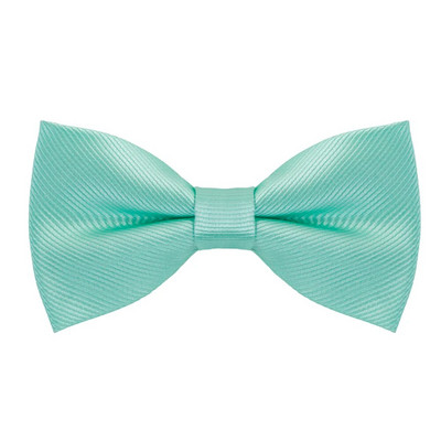 Leptir mašna Muška kravata Jednobojna Peppermint Green Haze Plava Kraljevsko plava leptir mašna Vjenčanica Košulja iste boje Moda Leptir Ženska