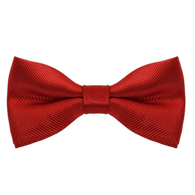 Leptir mašna Muška kravata Jednobojna Peppermint Green Haze Plava Kraljevsko plava leptir mašna Vjenčanica Košulja iste boje Moda Leptir Ženska