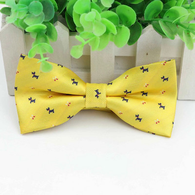 Klasikinės žvaigždės mados peteliškės jaunikis Vyrai Spalvingi šuo Cravat tinklelis Vyriški vedybos drugeliai vestuviniai peteliškės