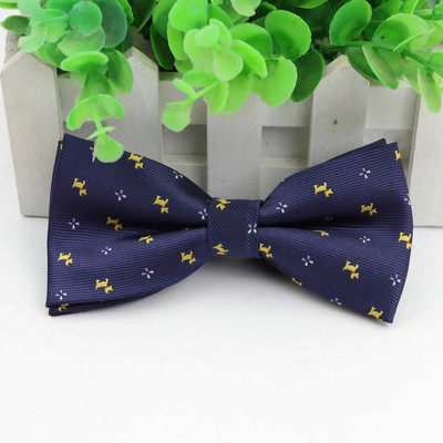 Klasikinės žvaigždės mados peteliškės jaunikis Vyrai Spalvingi šuo Cravat tinklelis Vyriški vedybos drugeliai vestuviniai peteliškės